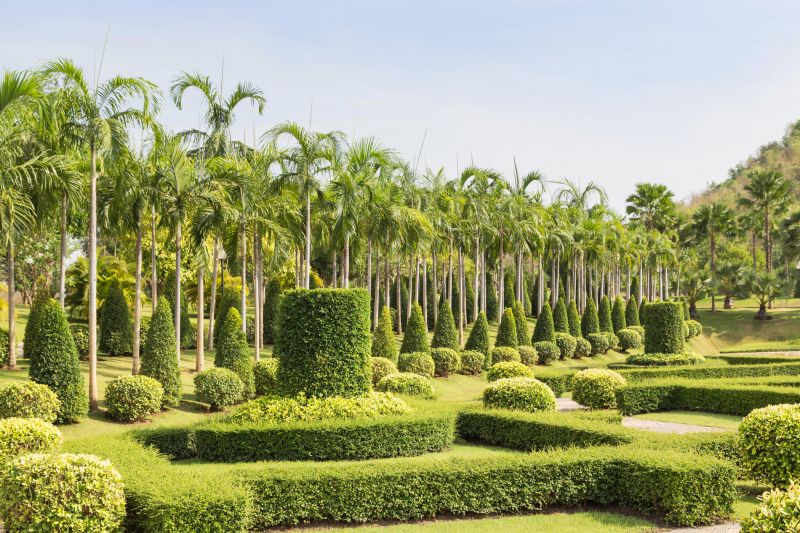 Landscape with Neatly Trimmed Shrubs