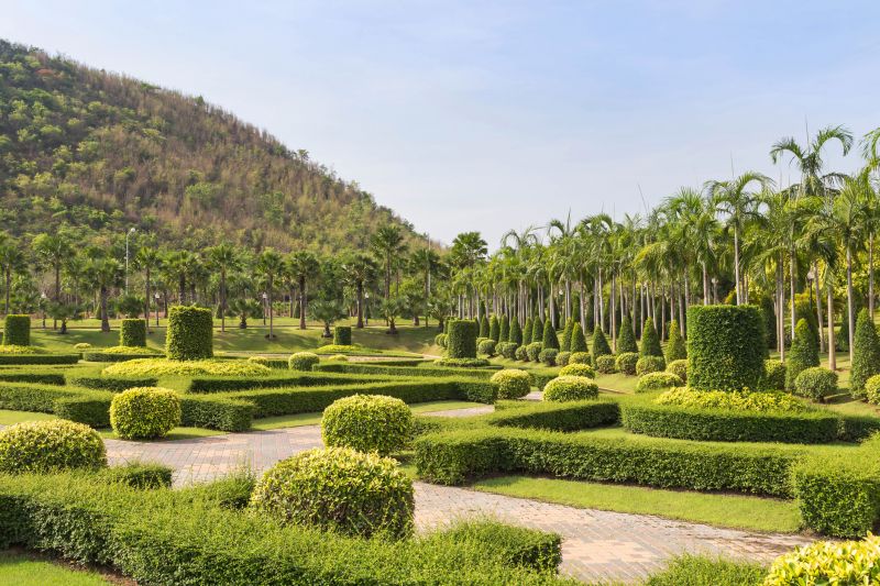 Pruned Shrubs in a Garden
