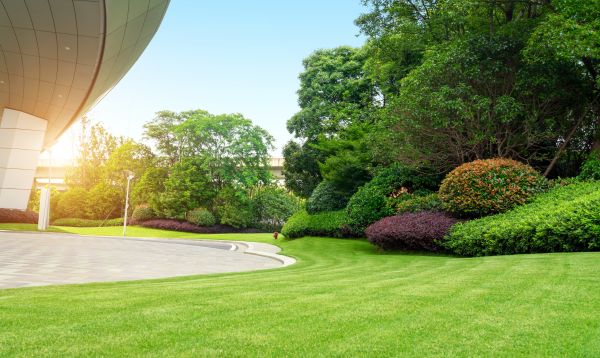 Commercial Shrub Trimming in Grass Valley