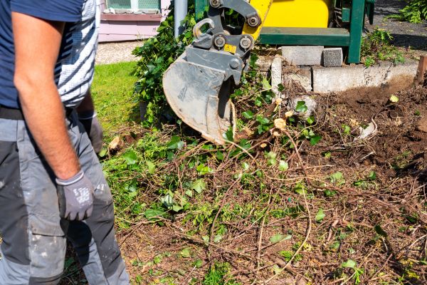 Hedge Removal Service in Grass Valley