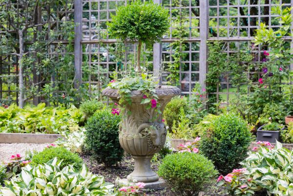 Cost of Topiary Pruning in Grass Valley