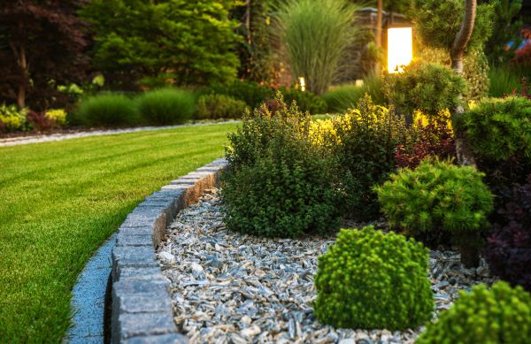 Cost of Bush Relocation in Grass Valley