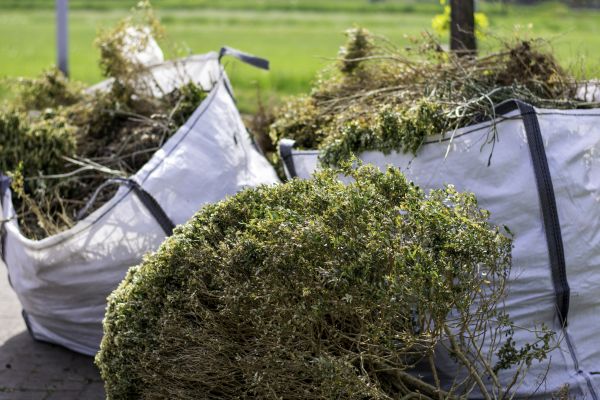 Cost of Shrubs Removal in Grass Valley