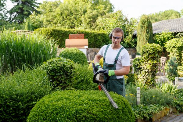 Shrubs Trimming in Grass Valley